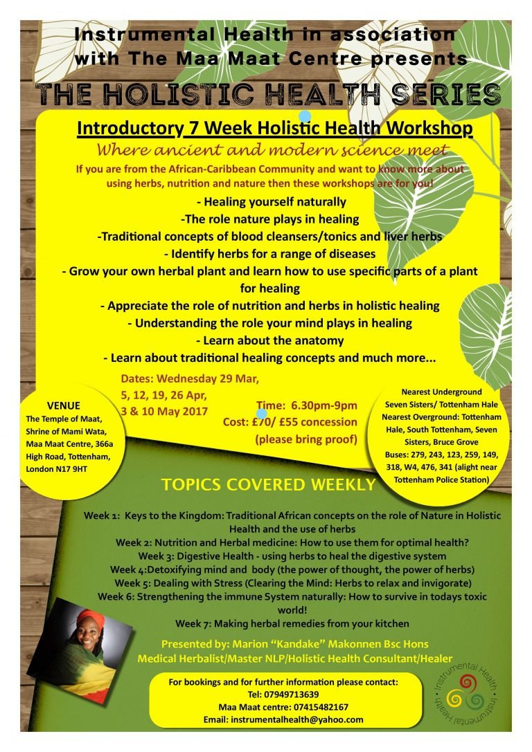 Introductory 7 Week Holistic Health Workshop